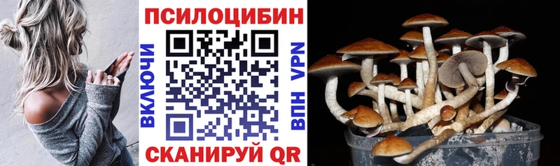 Купить где  Сортавала  Псилоцибиновые грибы Psilocybine cubensis 